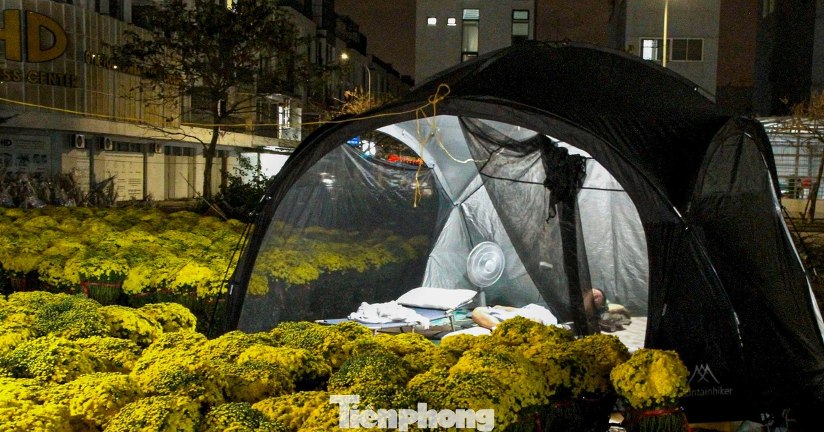 Nghìn lẻ kiểu trải chiếu, chong đèn trông hoa Tết