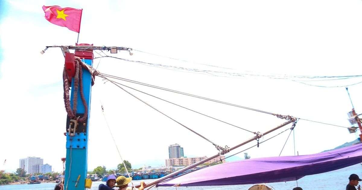 Ngư dân Đà Nẵng vươn khơi, bám biển trong dịp lễ Quốc khánh 2/9