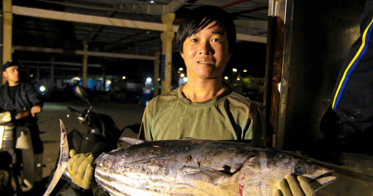 Hải sản được giá cận Tết, ngư dân Đà Nẵng phấn khởi chuyến biển cuối năm