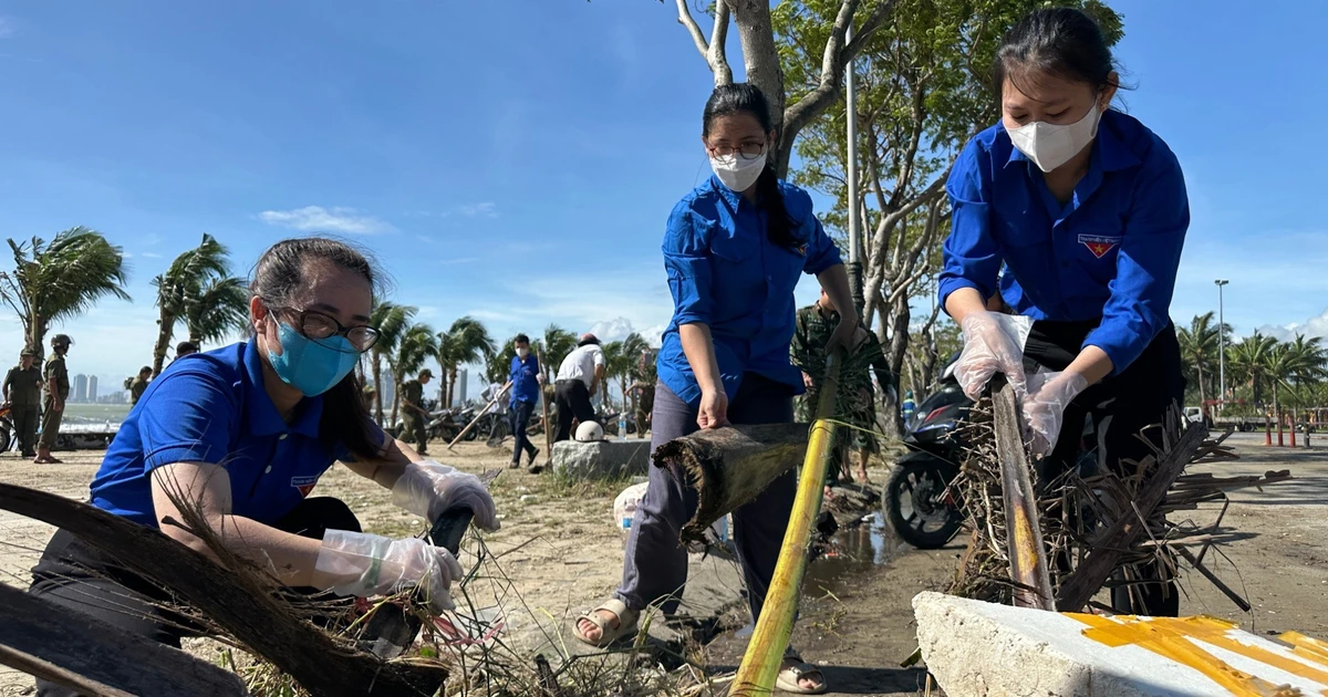 Cây đổ, rác ngập, bạn trẻ Đà Nẵng chung tay dọn dẹp sau bão