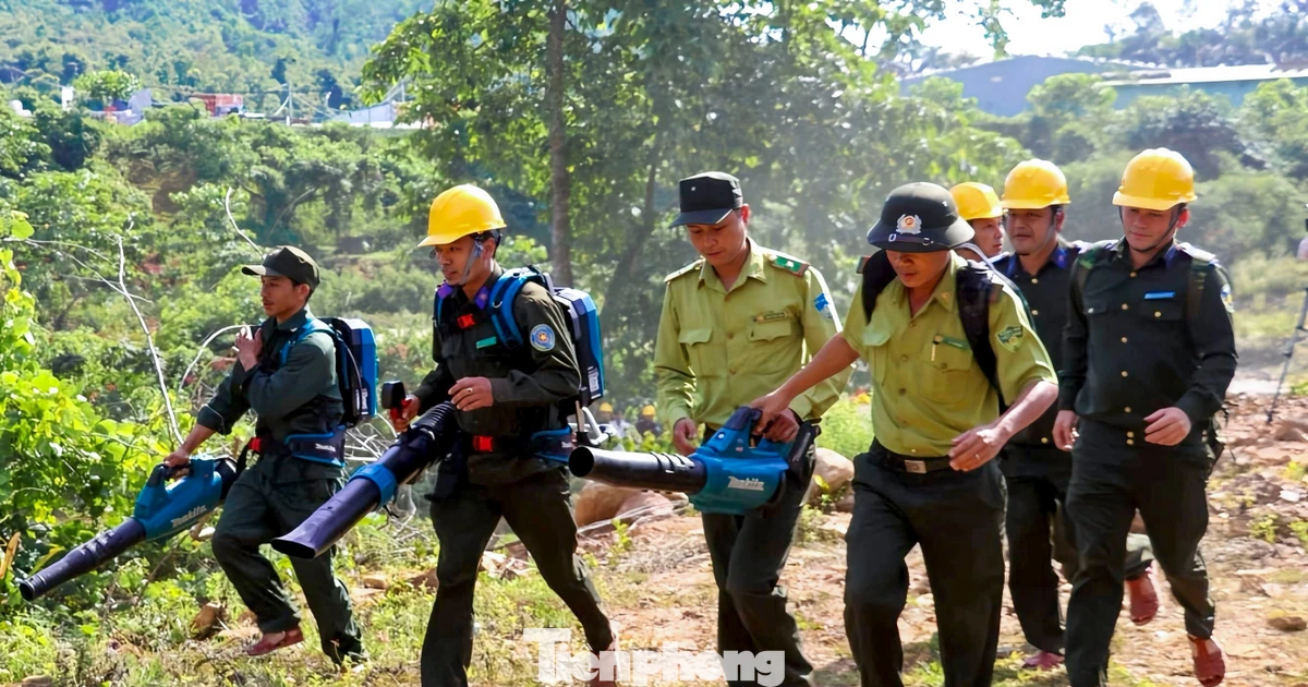 Đà Nẵng chủ động ứng phó, không để cháy rừng bùng phát mùa nắng nóng