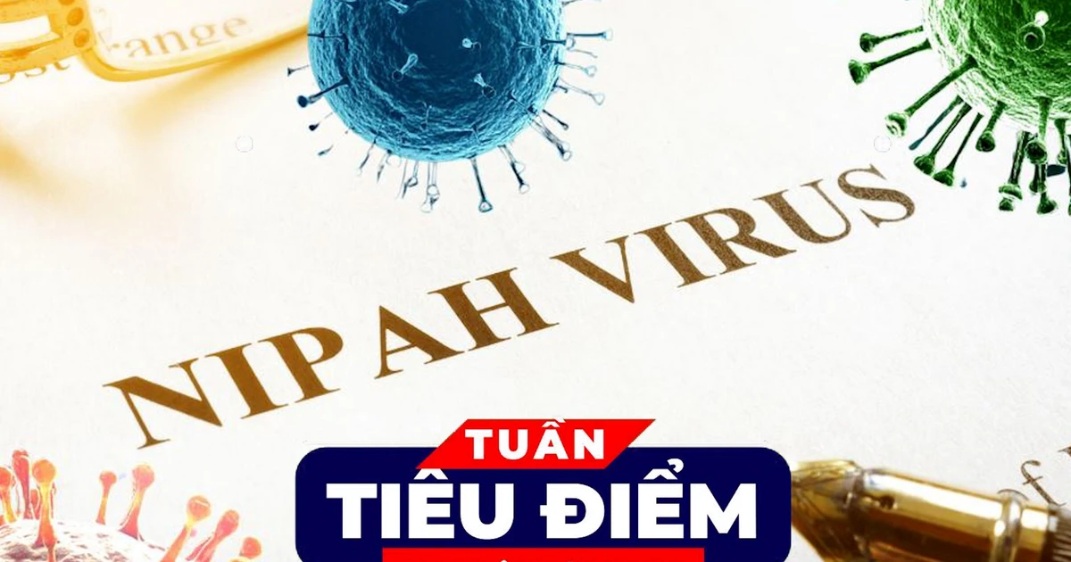 TIÊU ĐIỂM: Vì sao virus Nipah lây nhiễm thấp nhưng tỉ lệ tử vong có thể lên tới 75%