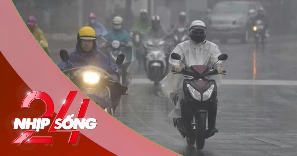 NHỊP SỐNG 24: Khi nào miền Bắc hết mưa phùn, nồm ẩm?