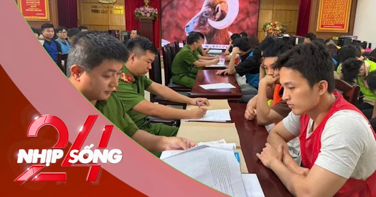 NHỊP SỐNG 24: Muốn nhận lại tiền trong vụ lừa đảo 'sở hữu kỳ nghỉ', nạn nhân cần làm gì?