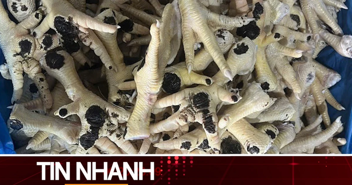 TIN NHANH: Kinh hoàng nguồn gốc và đường đi của hàng chục nghìn tấn chân gà đông lạnh nhập lậu