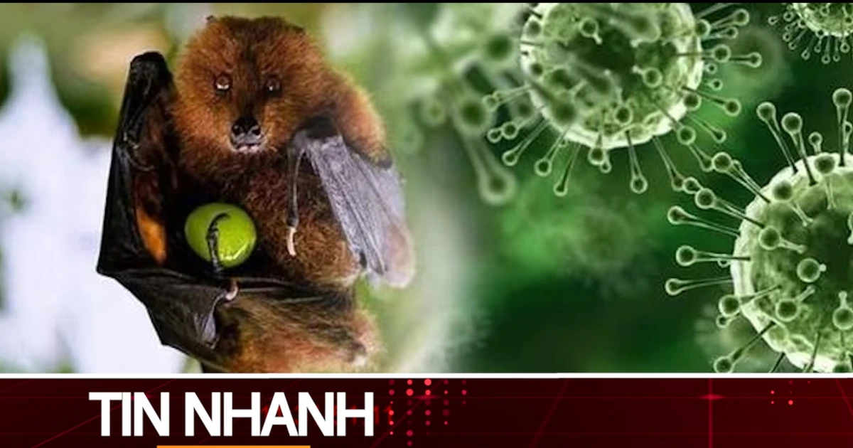 TIN NHANH: Bộ Y tế thông tin về dịch bệnh do virus Nipah và các biện pháp phòng chống