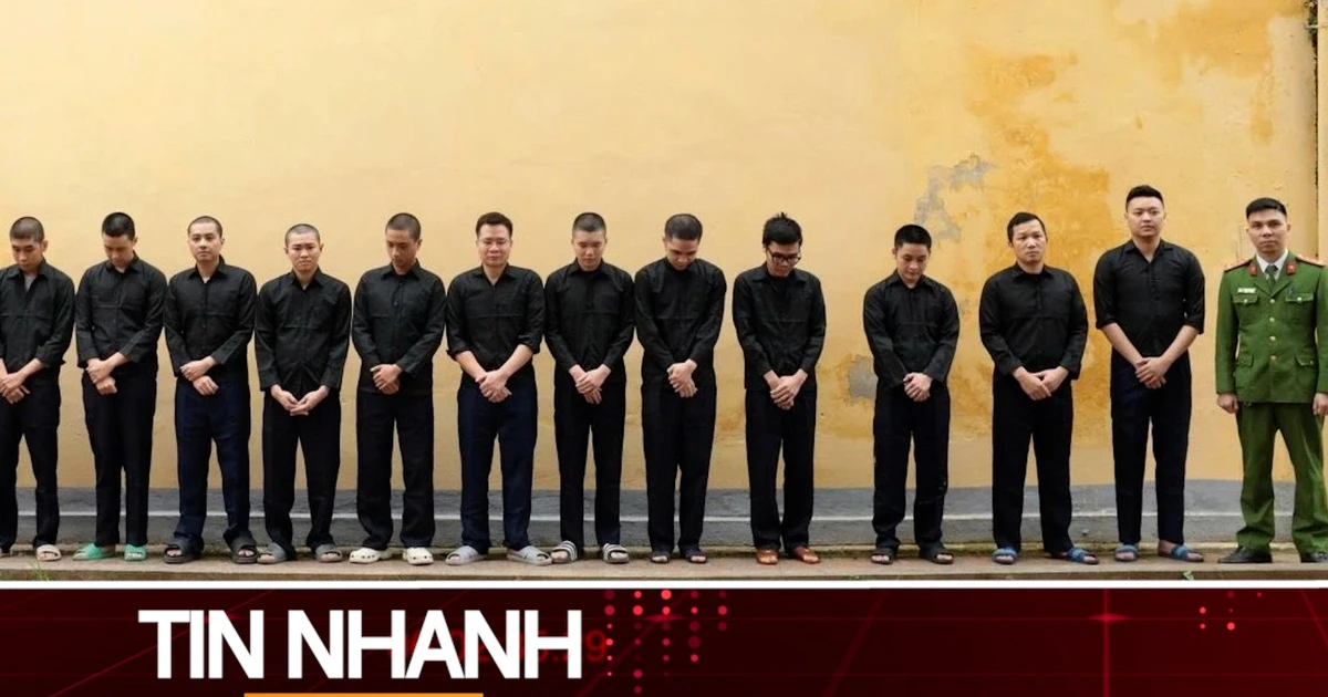 TIN NHANH: Vụ khởi tố trên 30 bị can vụ 'Xôi Lạc TV': Người xem kênh lậu có bị liên đới?