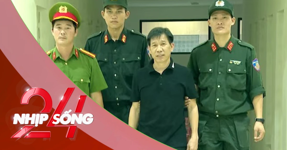 NHỊP SỐNG 24: Quân sư đằng sau trùm giang hồ Vi 'ngộ' là ai? Nhân viên y tế bị sa thải vì video vô cảm