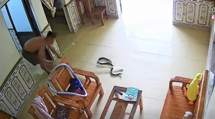 TP NOW: Kinh hoàng rắn rơi từ điều hòa xuống phòng ngủ