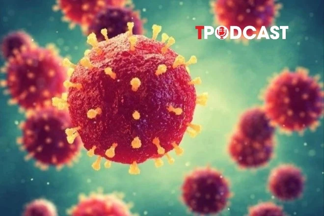 NÓNG 27/1: Virus Nipah nguy hiểm thế nào, bùng phát ở Ấn Độ ra sao?