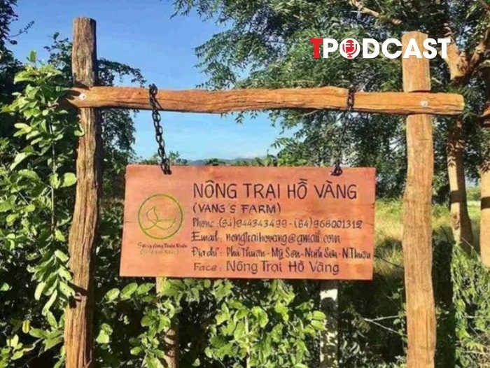 NÓNG 6/3: Sự thật về 'Nông trại Hồ Vàng' của ông Thích Nhuận Đạt