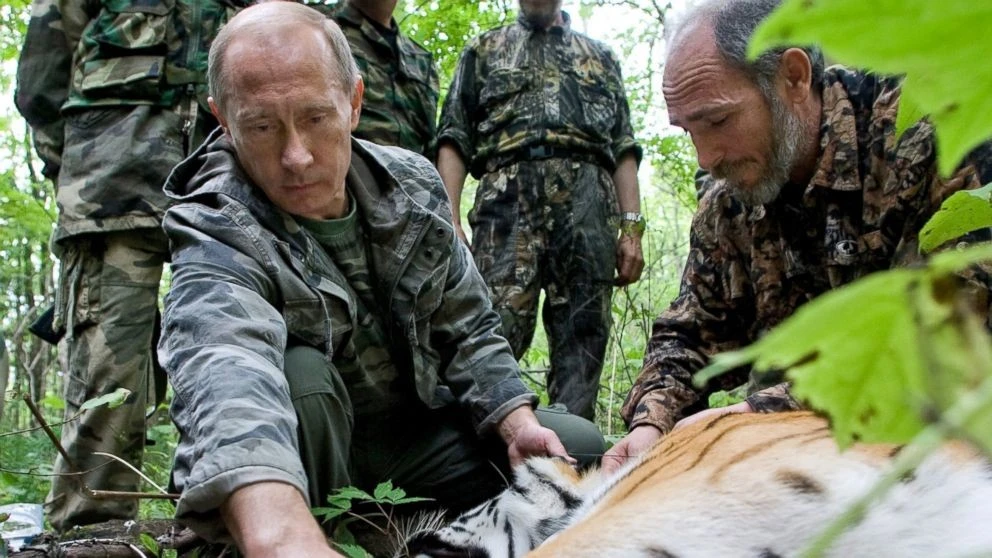 Tổng thống Nga Putin tặng bốn con hổ cho nước láng giềng