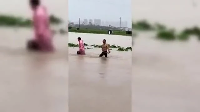 Trung Quốc: Dùng vợt bắt rắn, máy gắp lợn trong mưa lũ
