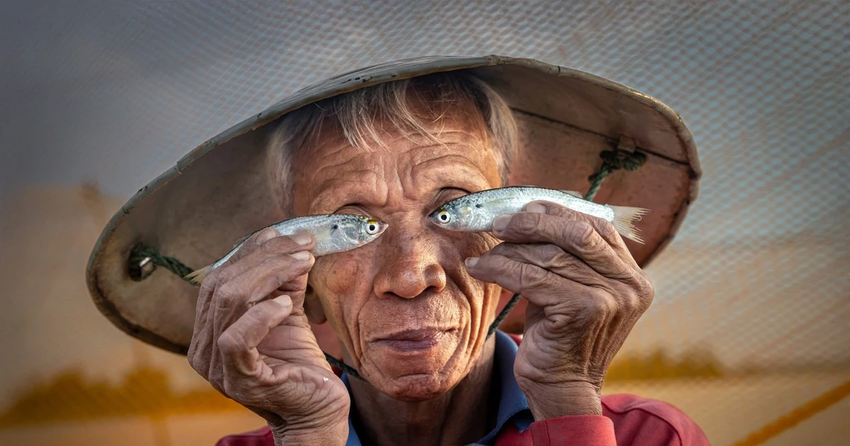 Ngư dân Hội An và hai con cá đánh bại 14.500 đối thủ quốc tế