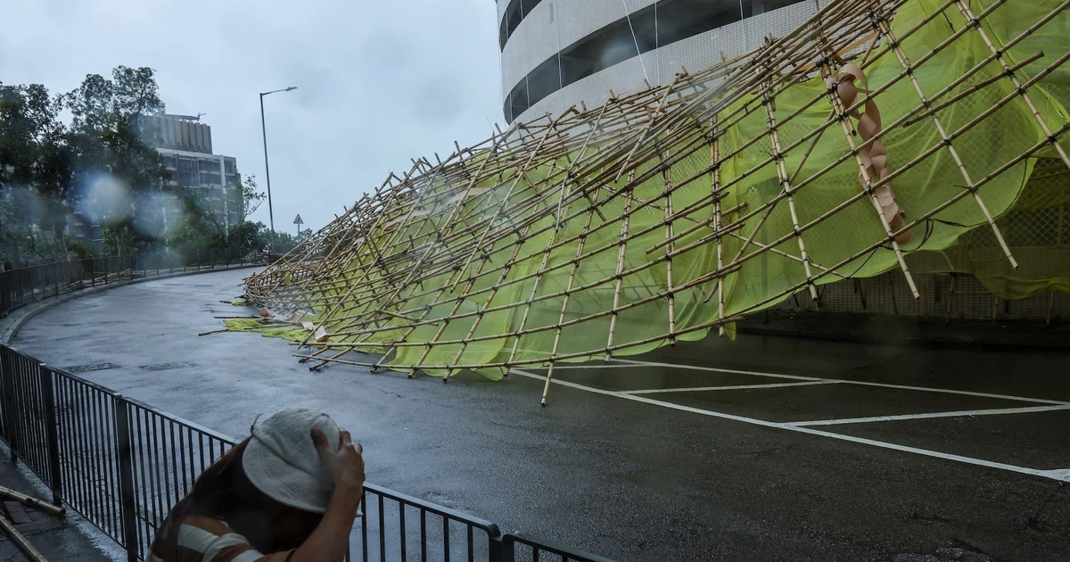 Hàng trăm cây đổ, hàng chục người nhập viện do bão Wipha ở Trung Quốc