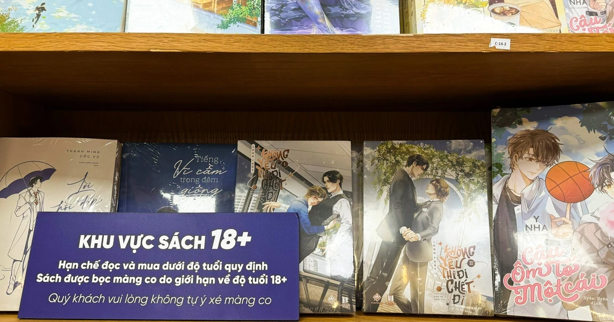 Tại sao giới trẻ thích đọc truyện đam mỹ?