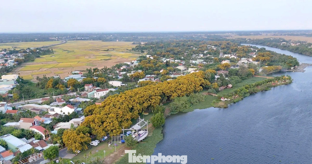 Điều đặc biệt ở lễ hội hoa sưa năm nay