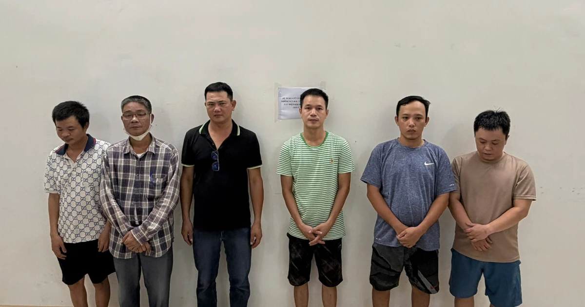 Bài viết