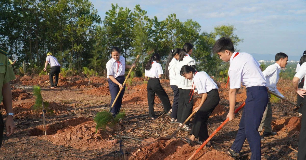 Lãnh đạo Đà Nẵng: Thiệt hại từ thiên tai càng thấm thía giá trị của một thành phố được bảo vệ bởi rừng và cây xanh