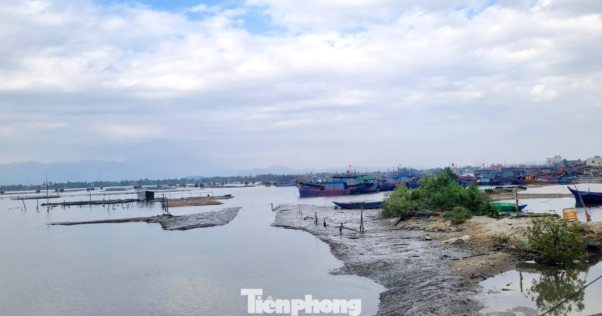 Khi nào đưa vào sử dụng dự án Khu tránh trú bão cho tàu cá 420 tỷ đồng ở Đà Nẵng?