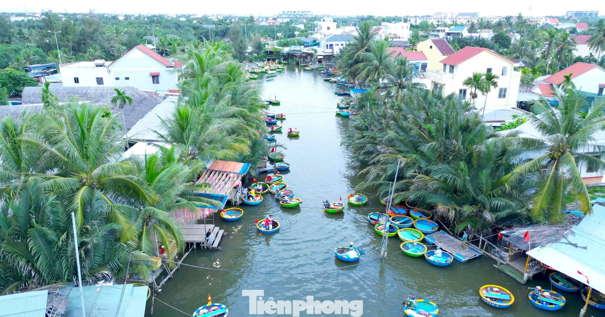 Có gì ở ngôi làng giữa rừng dừa nước được Forbes vinh danh?