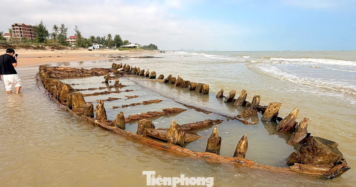 Bàn phương án bảo vệ và khai quật tàu cổ xuất lộ ở bờ biển Hội An