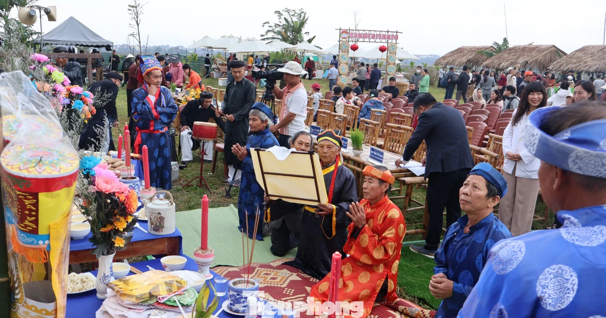 Khách Tây lội ruộng cấy lúa, bắt cá ở Hội An