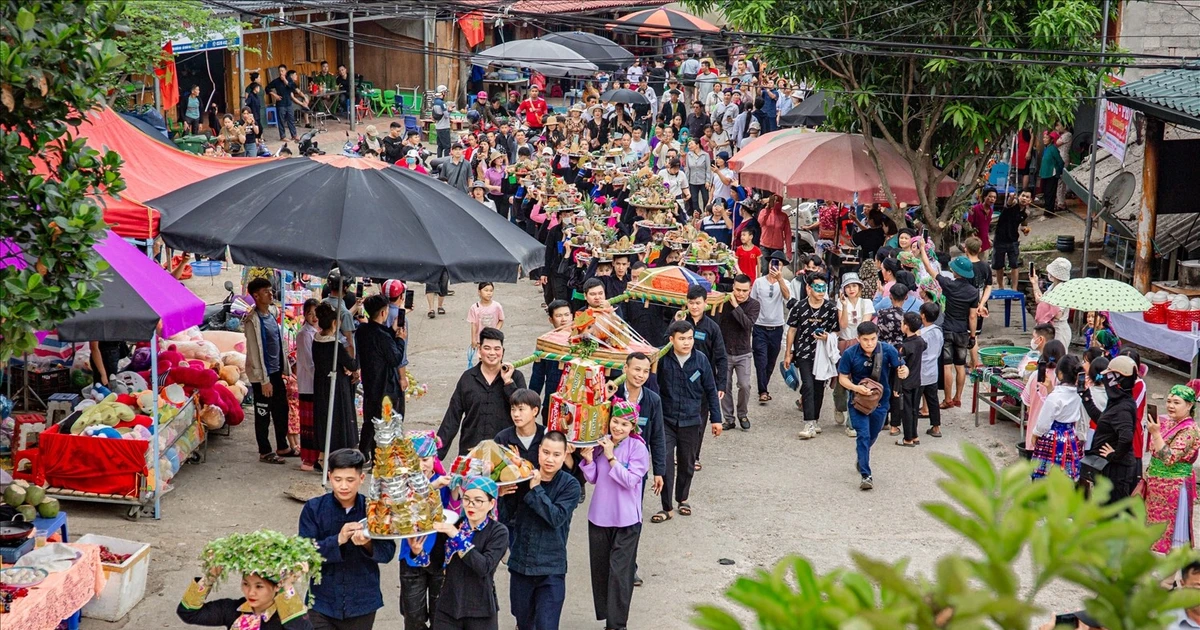 Lên Khâu Vai ngắm hoa tam giác mạch trước ngày khai hội Chợ tình