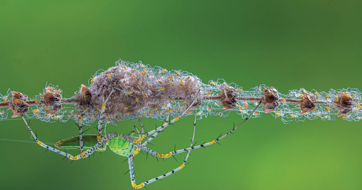 Thu hồi giải nhất cuộc thi ảnh sau 2 ngày trao