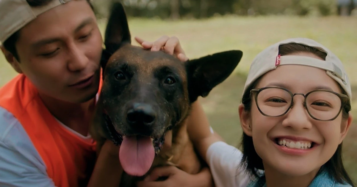 Có gì đặc biệt trong dòng phim mini series lần đầu ra mắt trên sóng VTV?