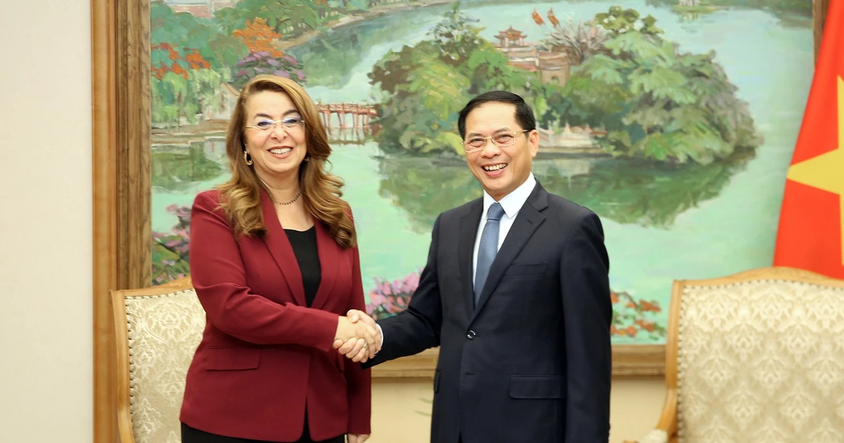 Liên Hợp Quốc đánh giá cao sáng kiến của Việt Nam về trung tâm đào tạo chống tội phạm mạng