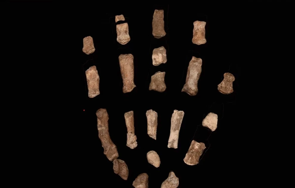 Đặc điểm gây bất ngờ trên bàn tay của người cổ