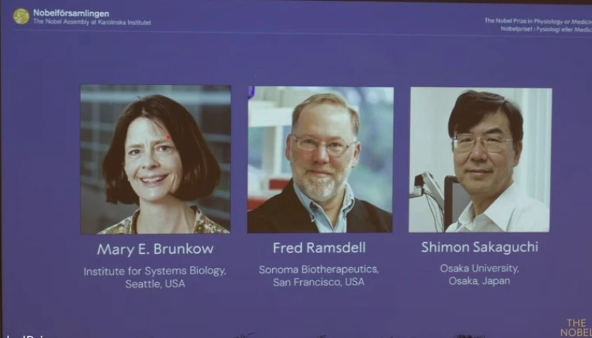 Ba chuyên gia miễn dịch ẵm giải Nobel Y học 2025