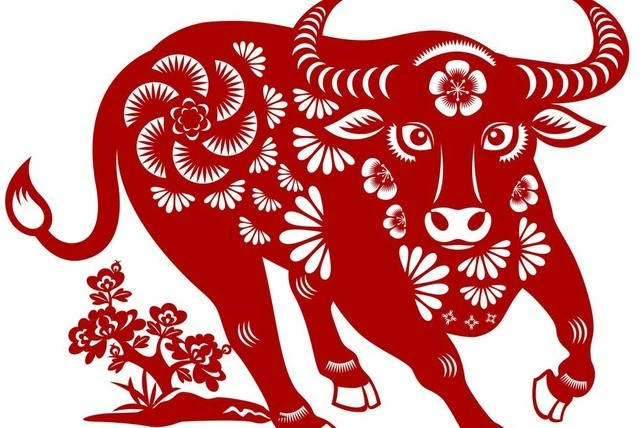 Tử vi tuổi Sửu 2026: Giai đoạn nhiều biến động