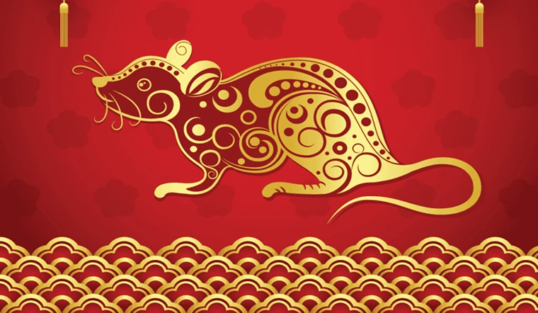 Tử vi tuổi Tý năm 2026: Nhiều thử thách, dễ gặp sự cố ngoài ý muốn