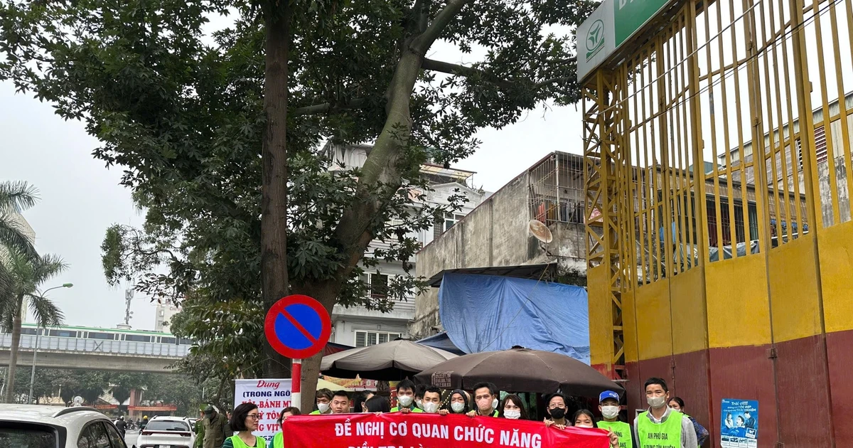 tienphong.vn