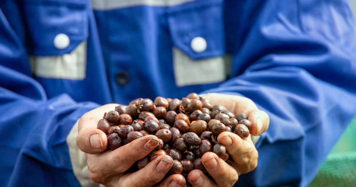 Xuất khẩu 2026: Mục tiêu tăng trưởng trên 15%