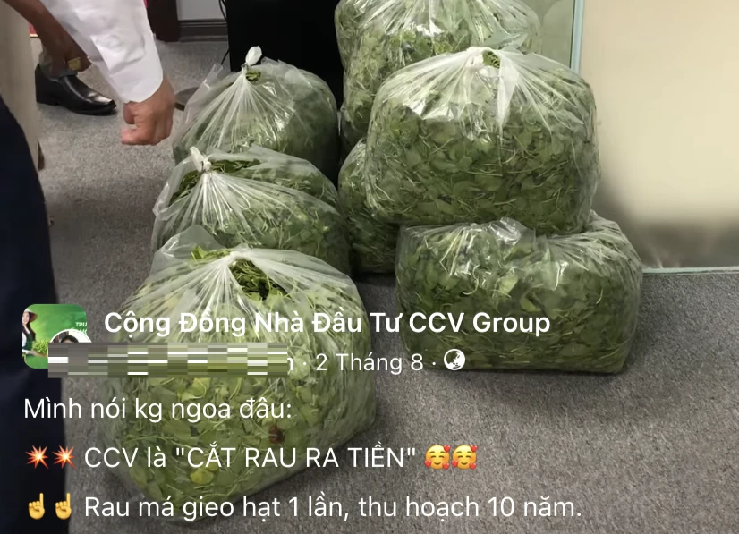 Vụ CCV Group: Từng giới thiệu 'cắt rau là ra tiền' lừa hàng trăm người