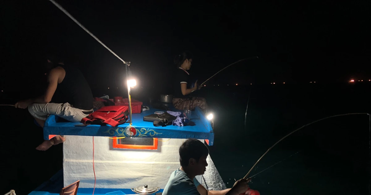 Ánh đèn đêm và nỗi lòng người giữ biển