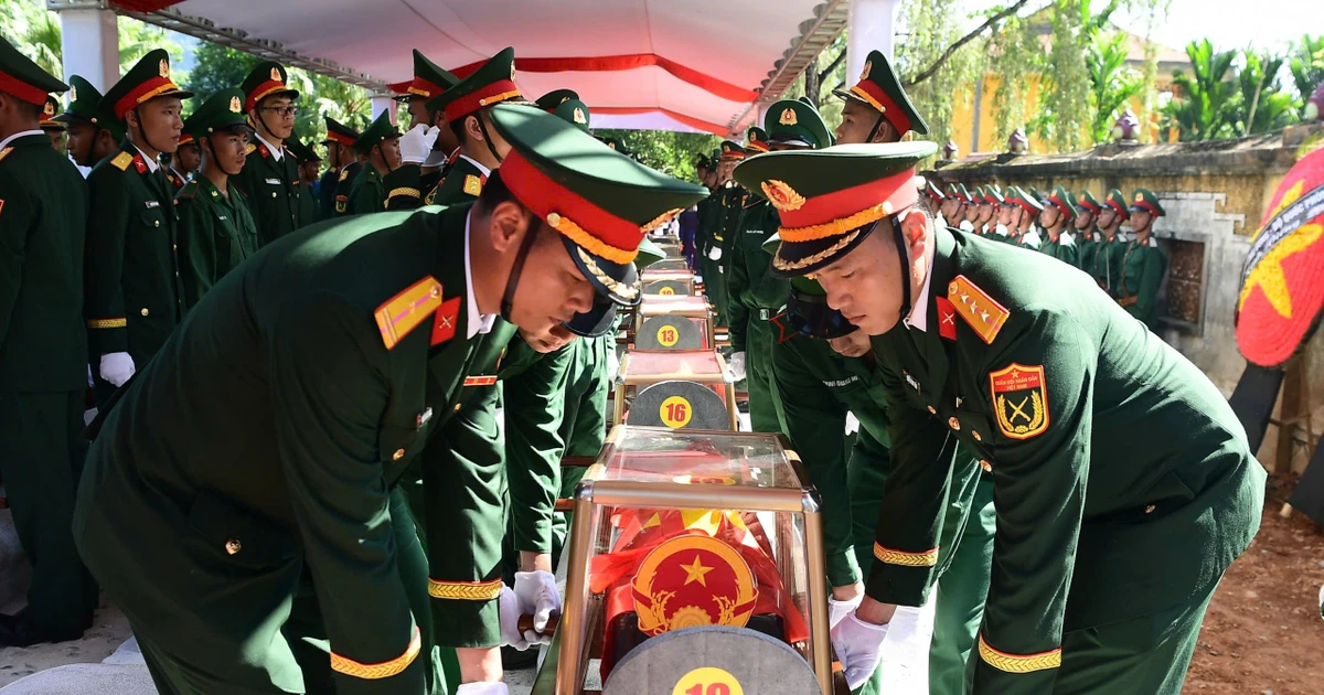 Mệnh lệnh từ trái tim và cuộc chạy đua với thời gian