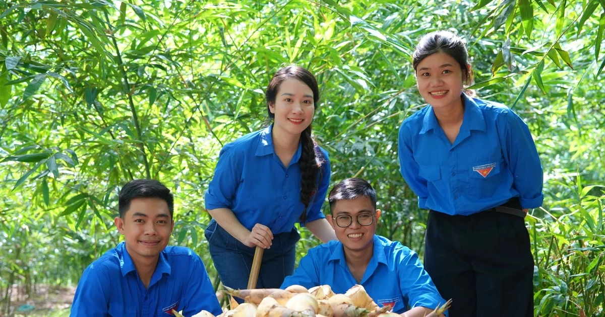 Khởi nghiệp xanh bằng 'vua của các loài măng'