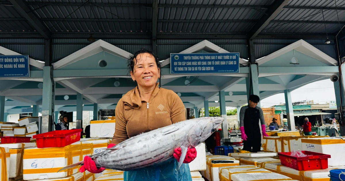 Cá về đầy khoang, ngư dân rộn ràng đón Tết