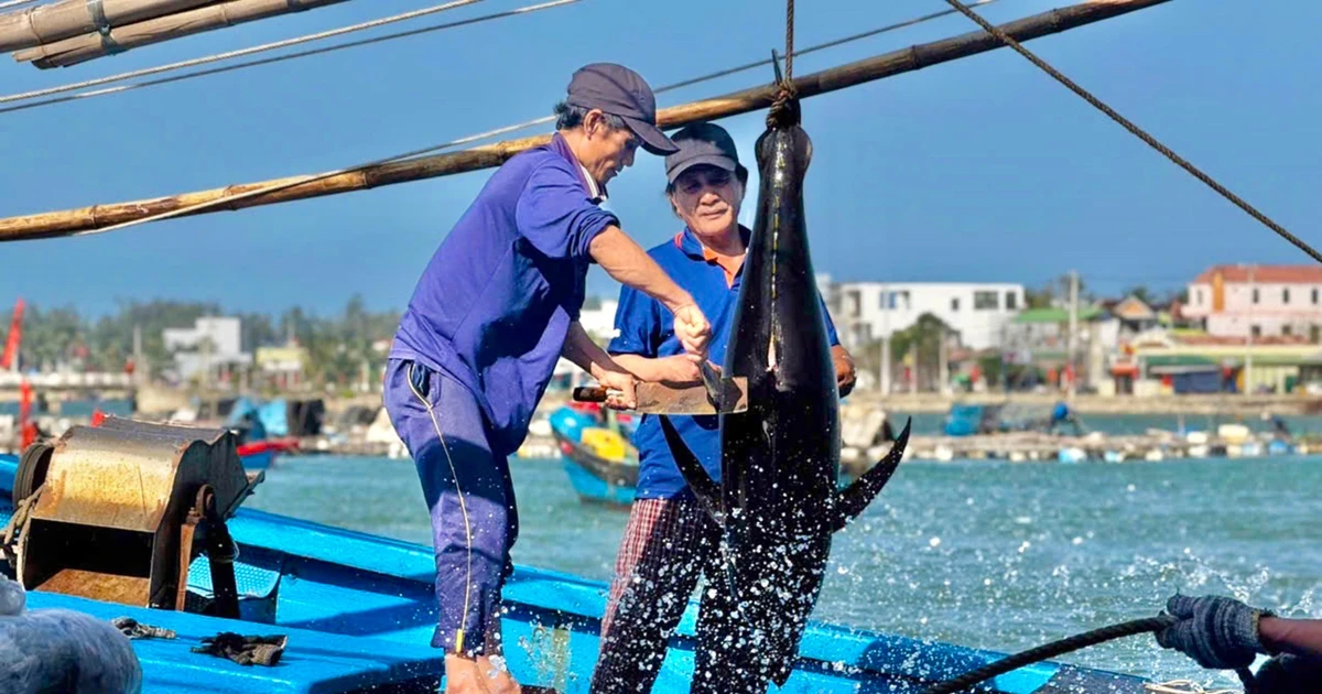 Gần lắm, Gạc Ma... Bài cuối: Những 'chiến sĩ' không quân hàm