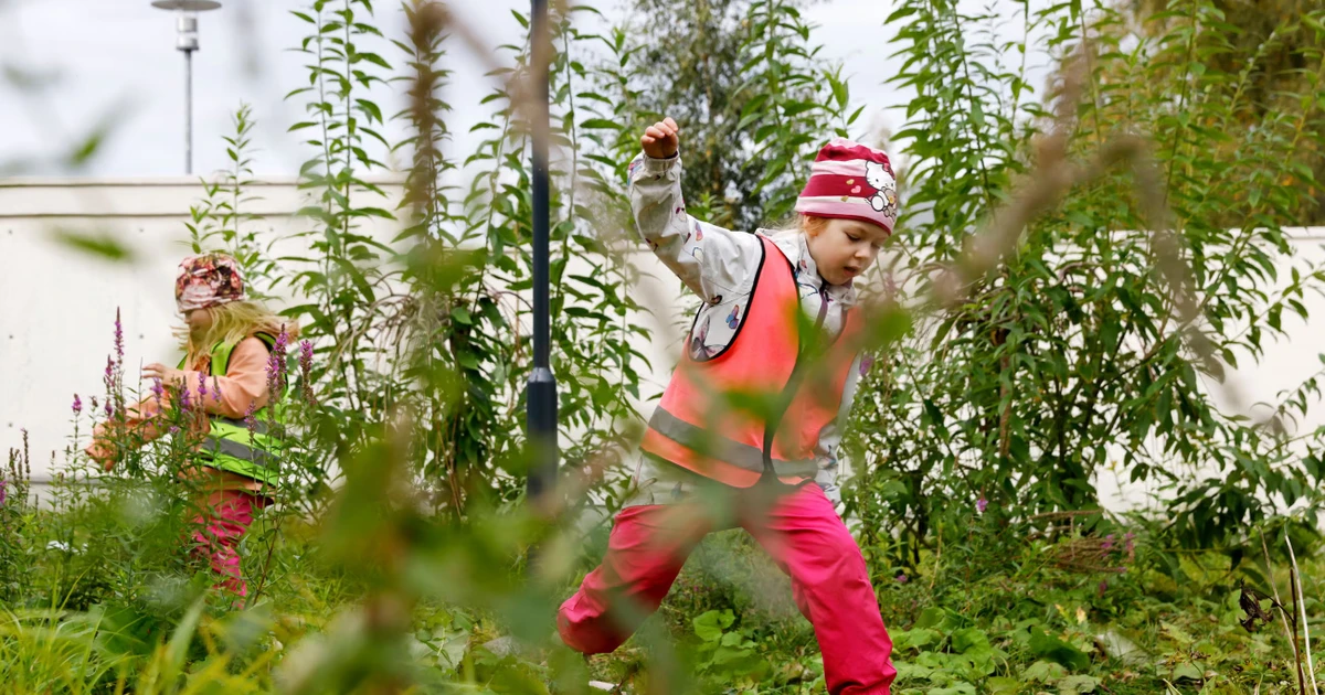 Phần Lan mang rừng vào trường mầm non