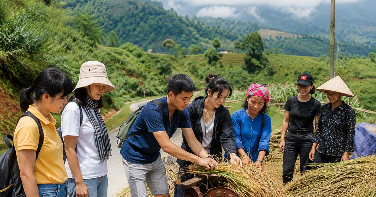 Cơn sốt chuyến đi ngắn ngày hè 2026