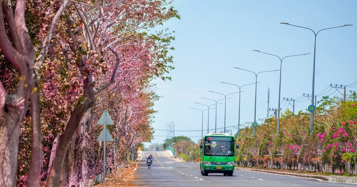 Đề xuất rót hơn 19.000 tỷ mở rộng đường xuyên Rừng Sác
