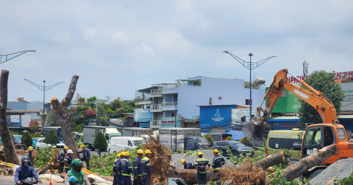 Di dời hàng trăm cây xanh mở đường ga ngầm metro số 2