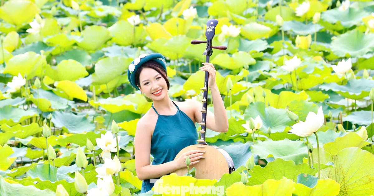 Đắm đuối mùa sen Hà Nội