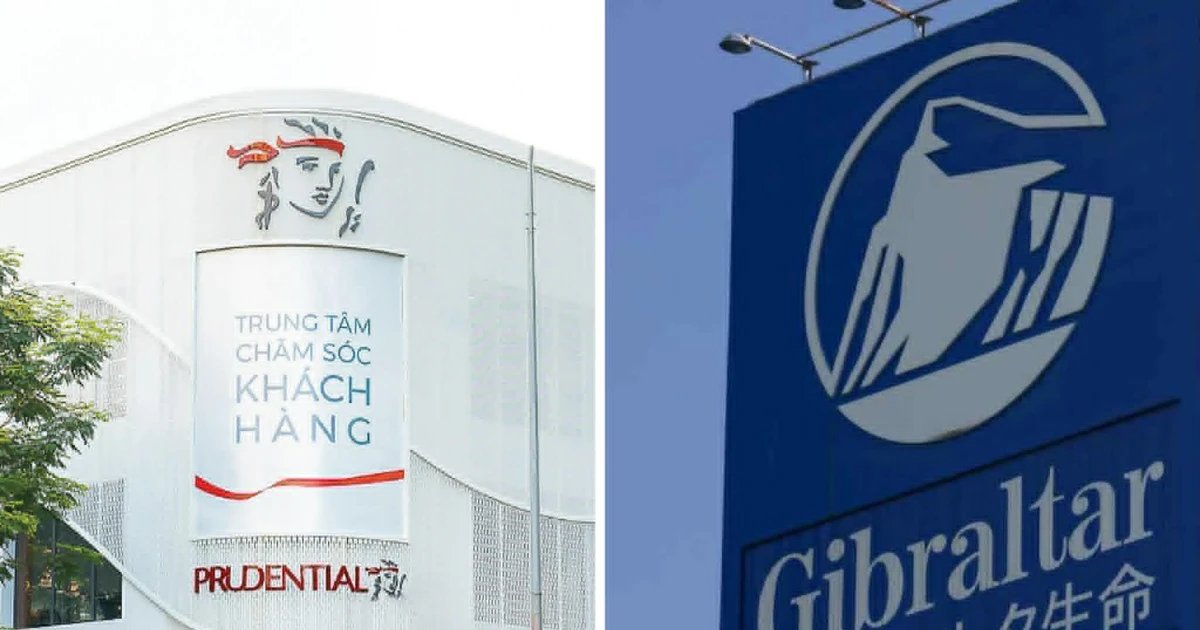 Prudential Việt Nam khẳng định không liên quan đến vụ việc 'Prudential Life Insurance' tại Nhật Bản