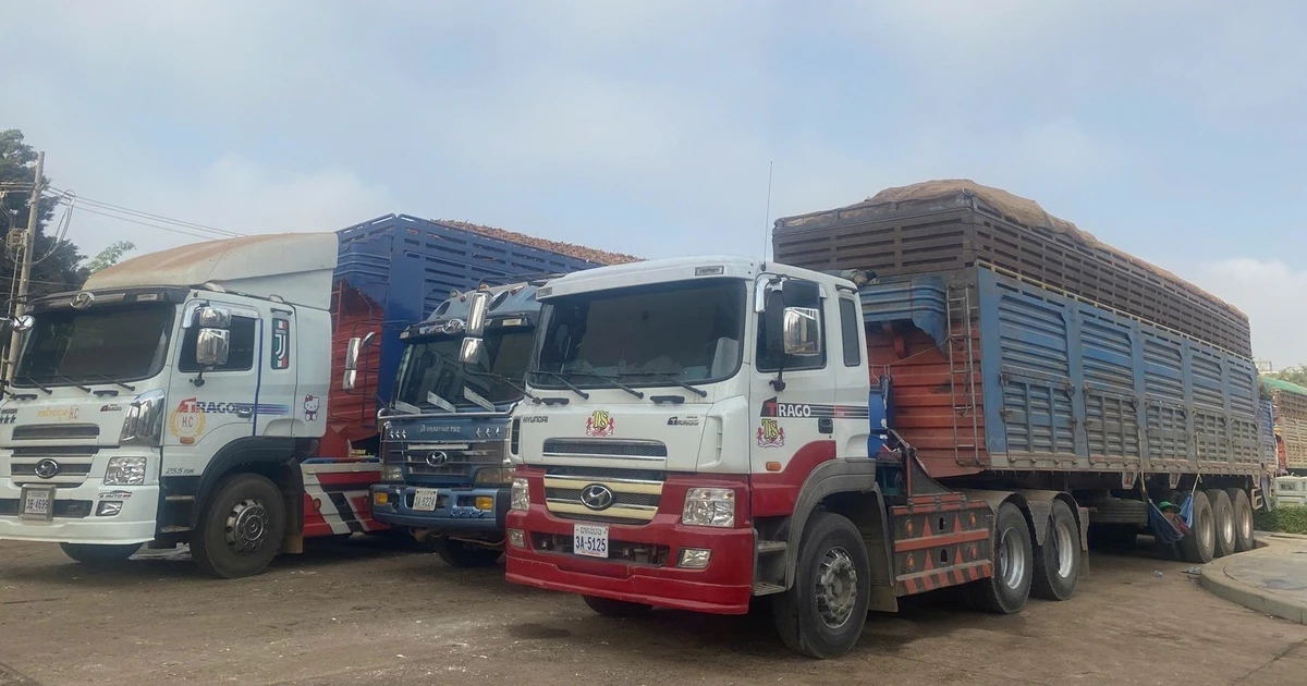 Thủ tướng: Tuyệt đối không để ách tắc hàng hóa qua các cửa khẩu